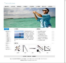 网度 专业网站建设，塑造您的数字化未来——产品6025