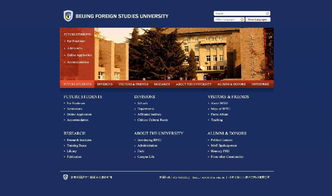 门户网站建设 全面指南与关键步骤